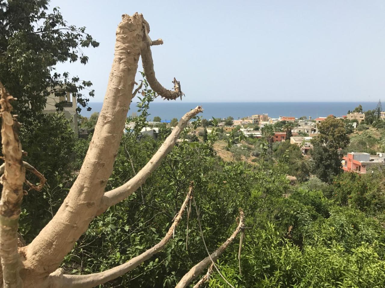 ناقورة Luna Motel المظهر الخارجي الصورة